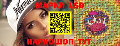 спиды Камышлов