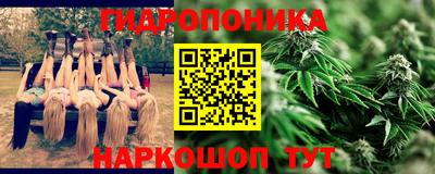 спиды Камышлов