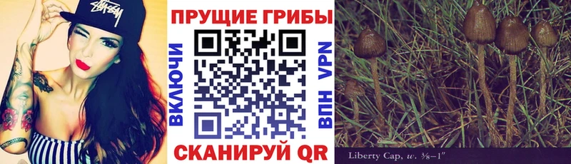 Псилоцибиновые грибы Magic Shrooms  Кизляр 